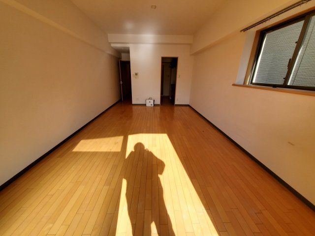 パルドミール