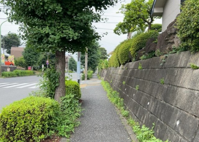 【展望】 | パームⅡ | 眺望の良さを楽しめるダイニングキッチンで家族団らんの時間を過ごしてはいかがでしょうか。バルコニーから見える景色を家族で眺める時間は、時間が経つのを忘れてしまいそうですね。是非、現地を見に行きましょう！