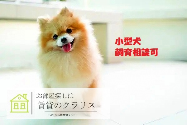 GRAMM松室吾田神町A棟