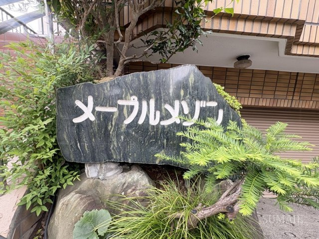 メープルメゾンの庭