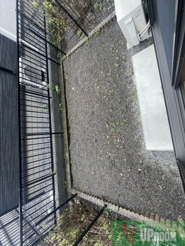 ラコパンの庭