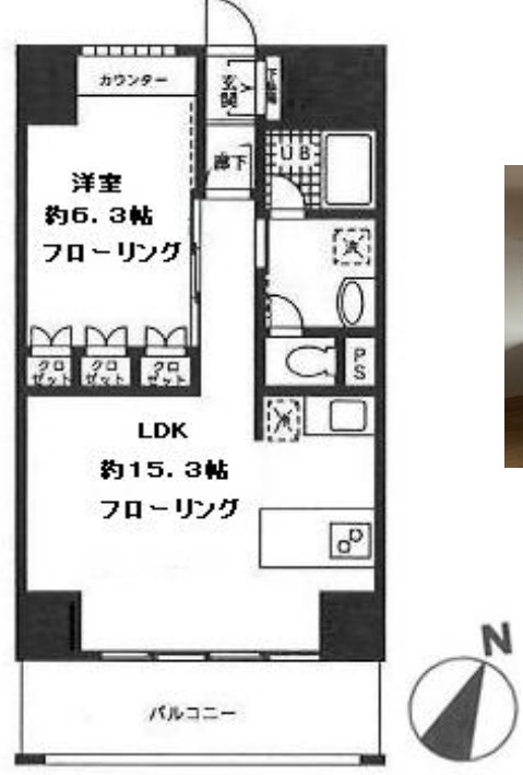 ロジュマン湘南の間取り
