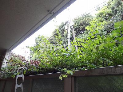 【展望】 | クレールメゾン新井