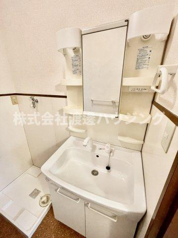 カーサビアンカNo1の洗面所