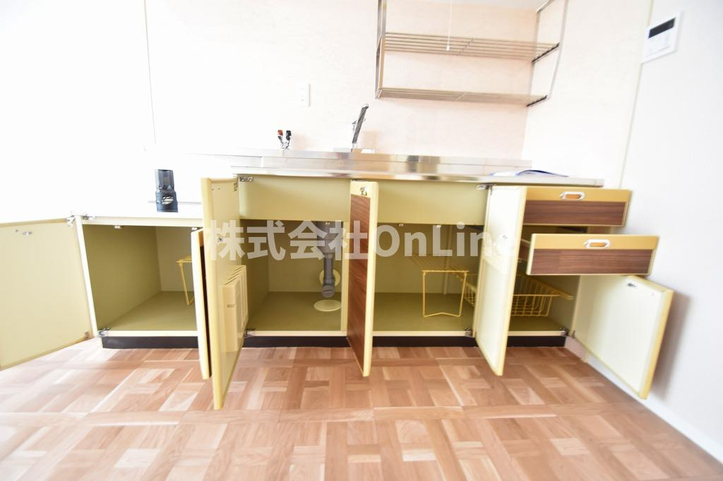 東大阪市菱江５丁目の賃貸マンションの収納