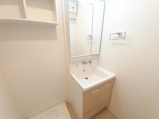 グリーンハイツ向日の洗面所