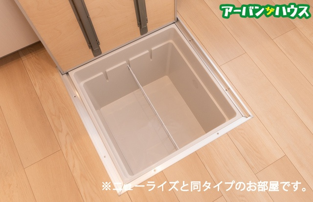 アルバータ セレーノのその他