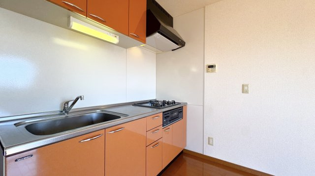 ラフィーネ壱番館のキッチン
