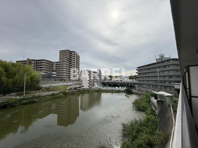 K緑地の展望