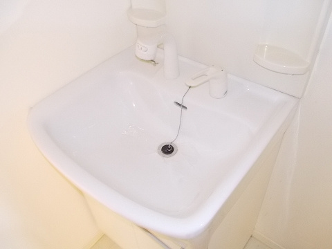 シャーメゾンきびじ Cの洗面所