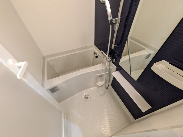 バス
