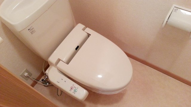 クリサンセマムⅤのトイレ