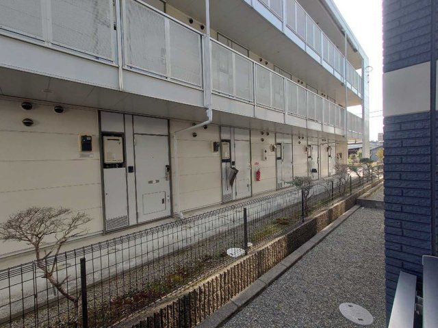 レオネクストディアスのその他
