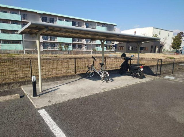 レオネクストディアスのその他