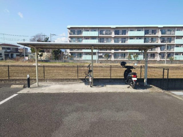 レオネクストディアスのその他