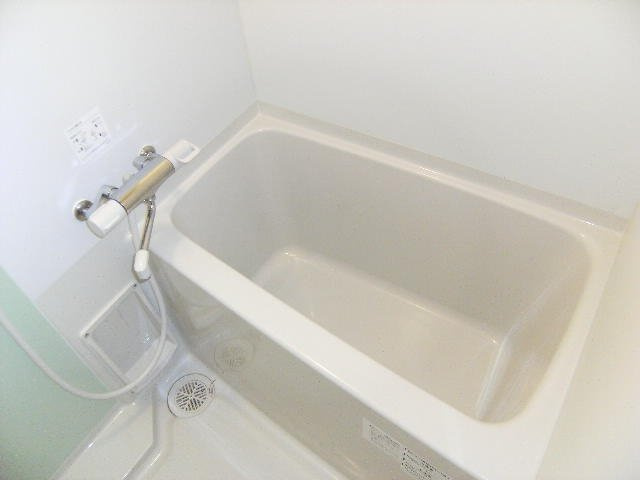 レオネクスト中のその他
