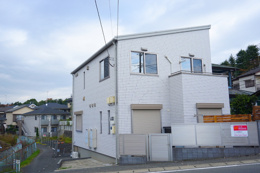 リス　アムールの画像