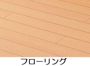 アルバカーサのその他