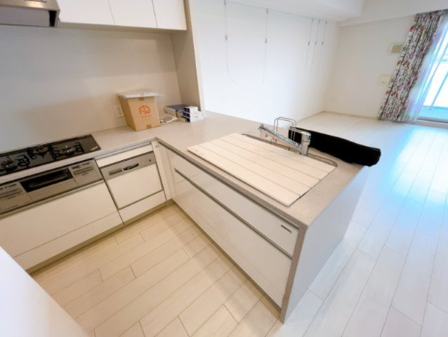ライオンズプレイズ南大高のキッチン|別号室の写真となります