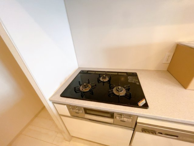 ライオンズプレイズ南大高のキッチン|別号室の写真となります