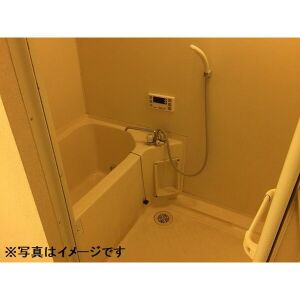 ミューズ・ポカホンタスのその他
