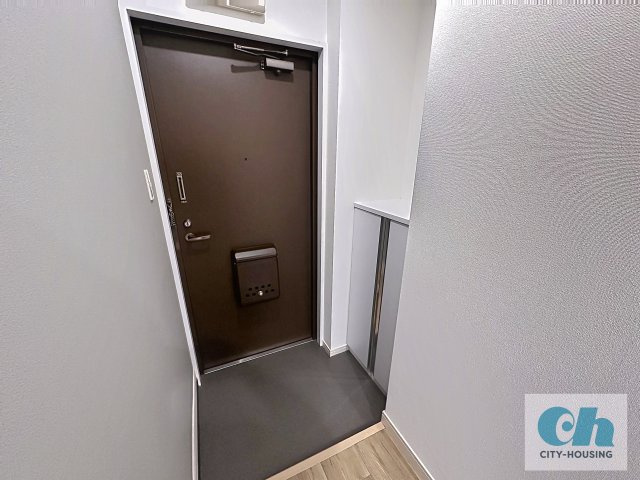八木ビル 303号室の玄関