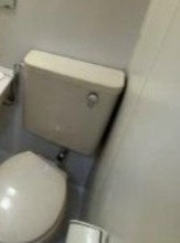 横浜市保土ケ谷区瀬戸ケ谷町の賃貸マンションのトイレ