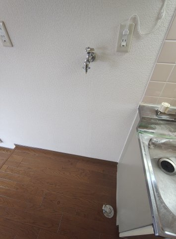 フジグレイスのその他