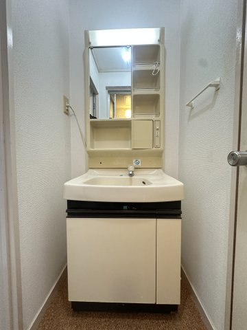 コモンズ保奈の洗面所