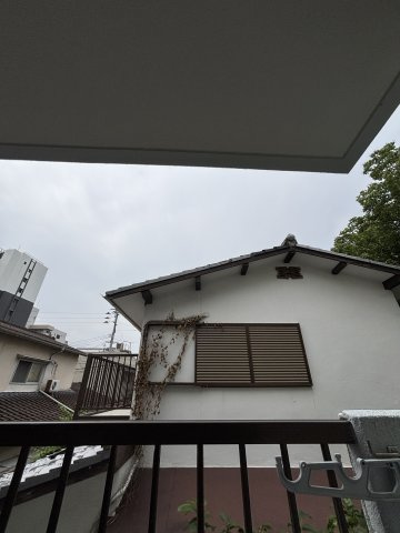 コモンズ保奈の展望