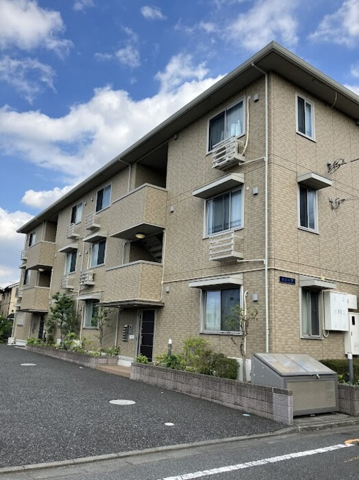 オリーブ