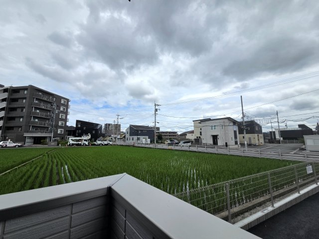 D-Crinum 下土狩Ⅱの展望