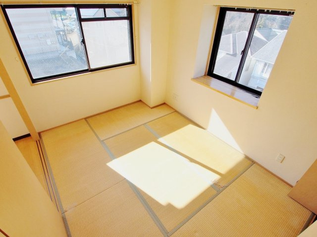 ティーア伴安のその他
