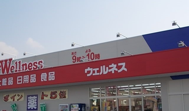 ノイエラントの周辺|ウェルネス みのかや店まで1350m