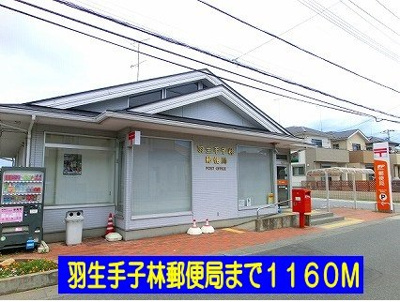 【周辺】 | オリージャ | 羽生手子林郵便局まで1160m