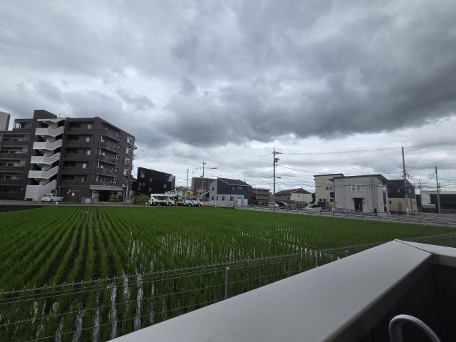 D-Crinum 下土狩Ⅱの展望