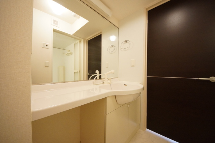 D-Room・SK Iの洗面所