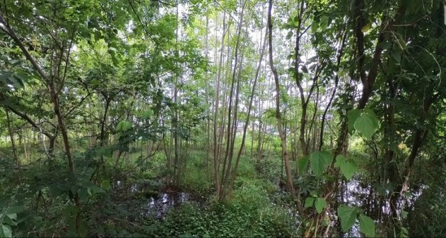 粟宮売地