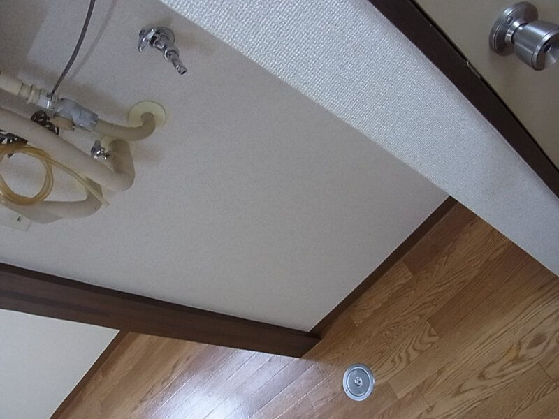 パラスアテネのその他