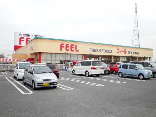 ハイツ岡西Ⅱの周辺|フィール岡崎大和店まで912ｍ