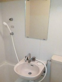 相模原市中央区向陽町の賃貸マンションの洗面所