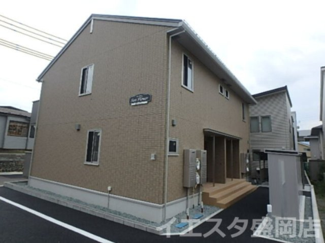 サンフラワー