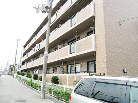 HAPUNA高石