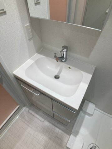 ブライズ住吉の洗面所