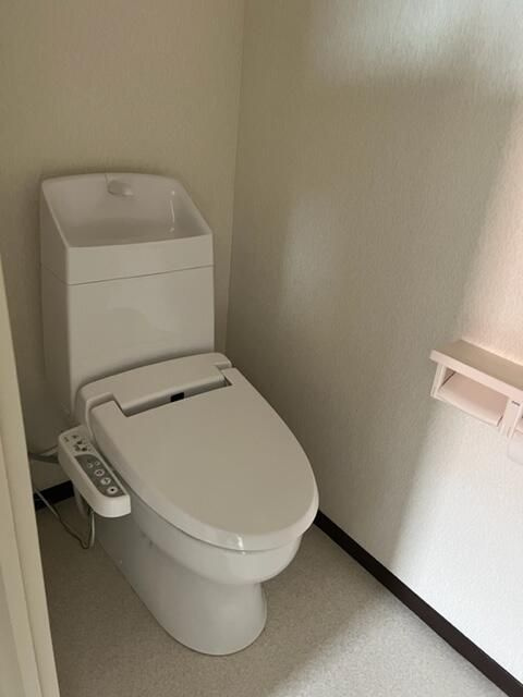 座間市相模が丘４丁目の賃貸マンションのトイレ