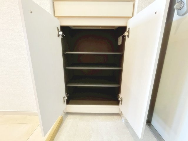 宝塚市安倉南１丁目の賃貸マンションの収納|こまごまとしたものを収納できそうですね