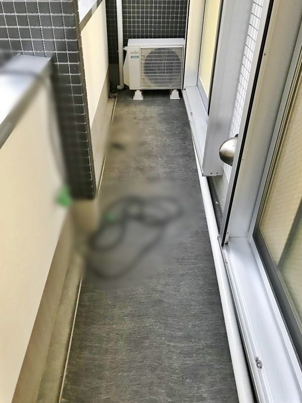 b’CASA東綾瀬のバルコニー