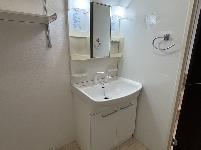 イーストアイ Ⅰの洗面所