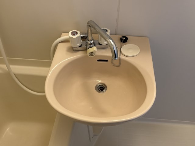 ロッキーコートナカヤの洗面所