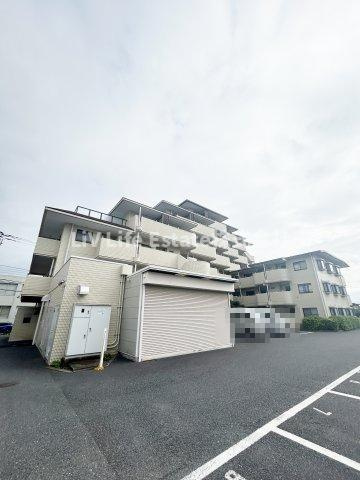 千歳サンライズ